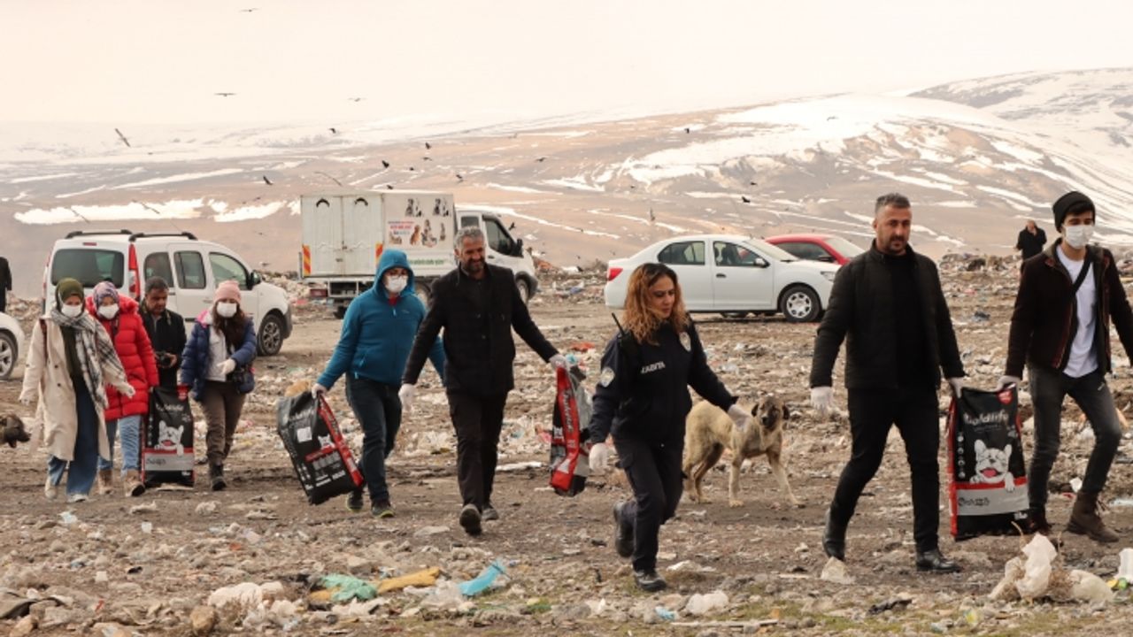 Van'da sokak hayvanları için doğaya yiyecek bırakıldı!