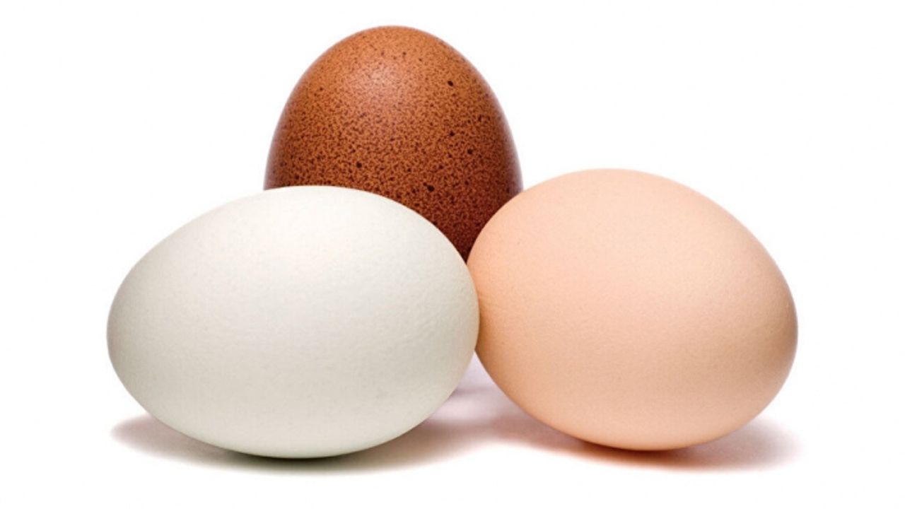 Asgari ücret zammından sonra yumurta fiyatları da nasibini aldı: Yumurta fiyatlarına fahiş zam geldi!