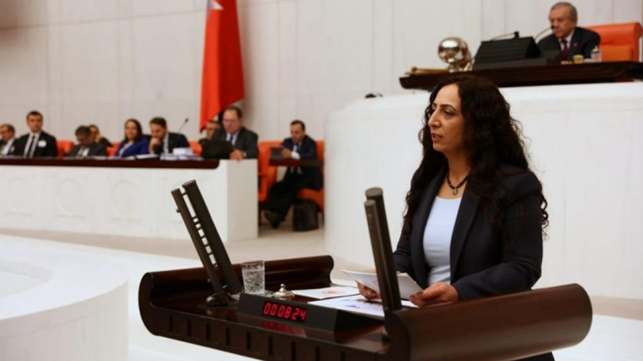 HDP Van Milletvekili Orhan, engelli bireylerin eğitim sorunlarını meclise taşıdı!