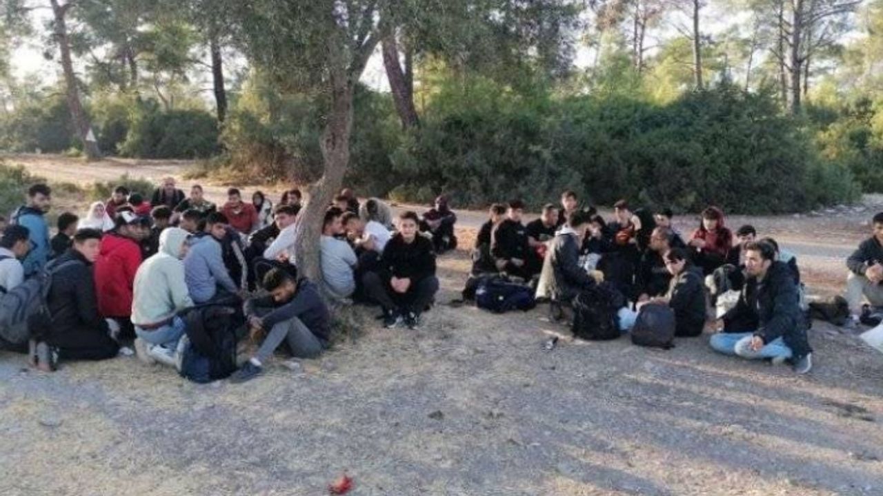 Kamyon kasasında 64 kaçak göçmen yakalandı!