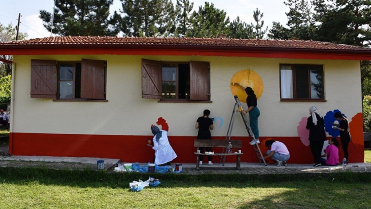 Van’da 100 'Köy Yaşam Merkezi' açılacak!