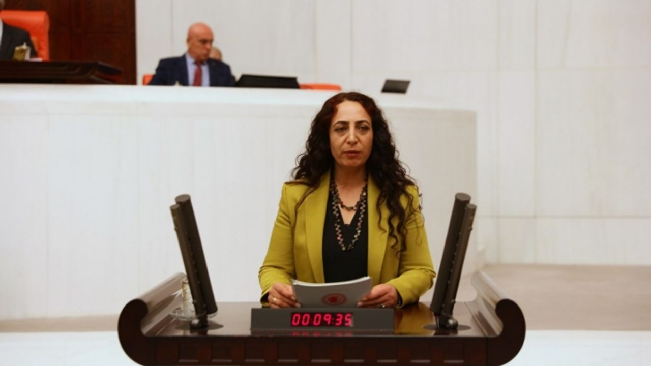 HDP Van Milletvekili Orhan, ‘asrın felaketi’ni TBMM’ye taşıdı!