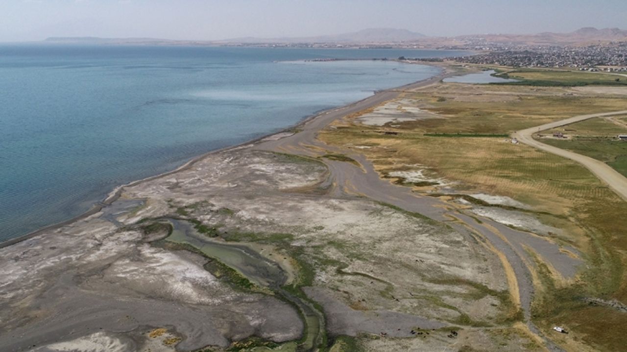 Van Gölü’nün kurtuluş reçetesi: Ramsar sözleşmesi!