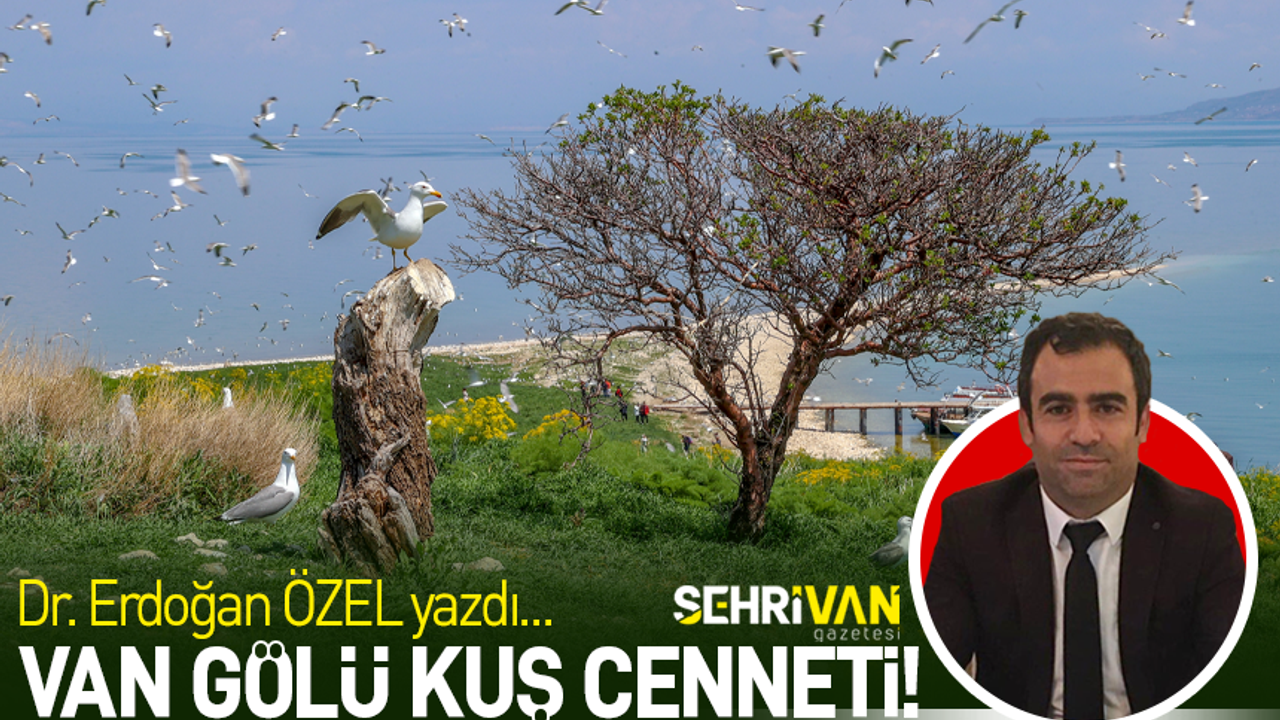 Van Gölü Kuş Cenneti | Dr. Erdoğan Özel | Köşe Yazıları