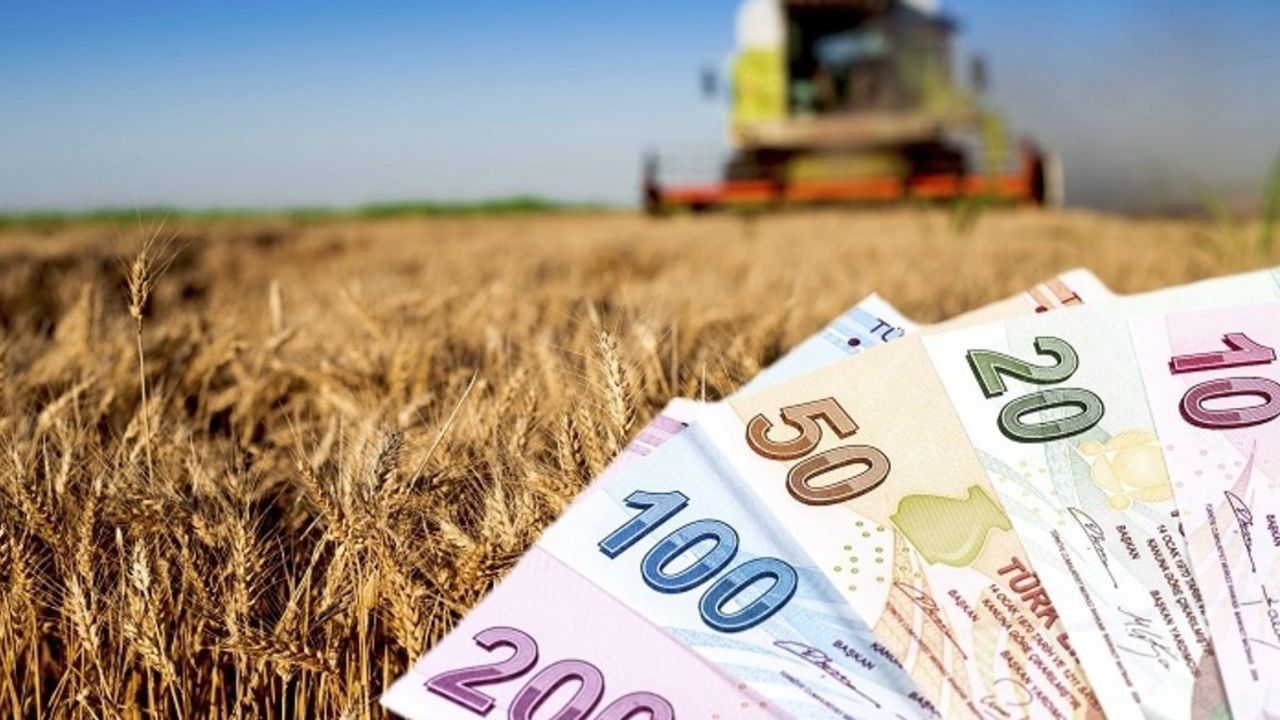 Çiftçilere bu yıl için ödenecek tarımsal destekler açıklandı