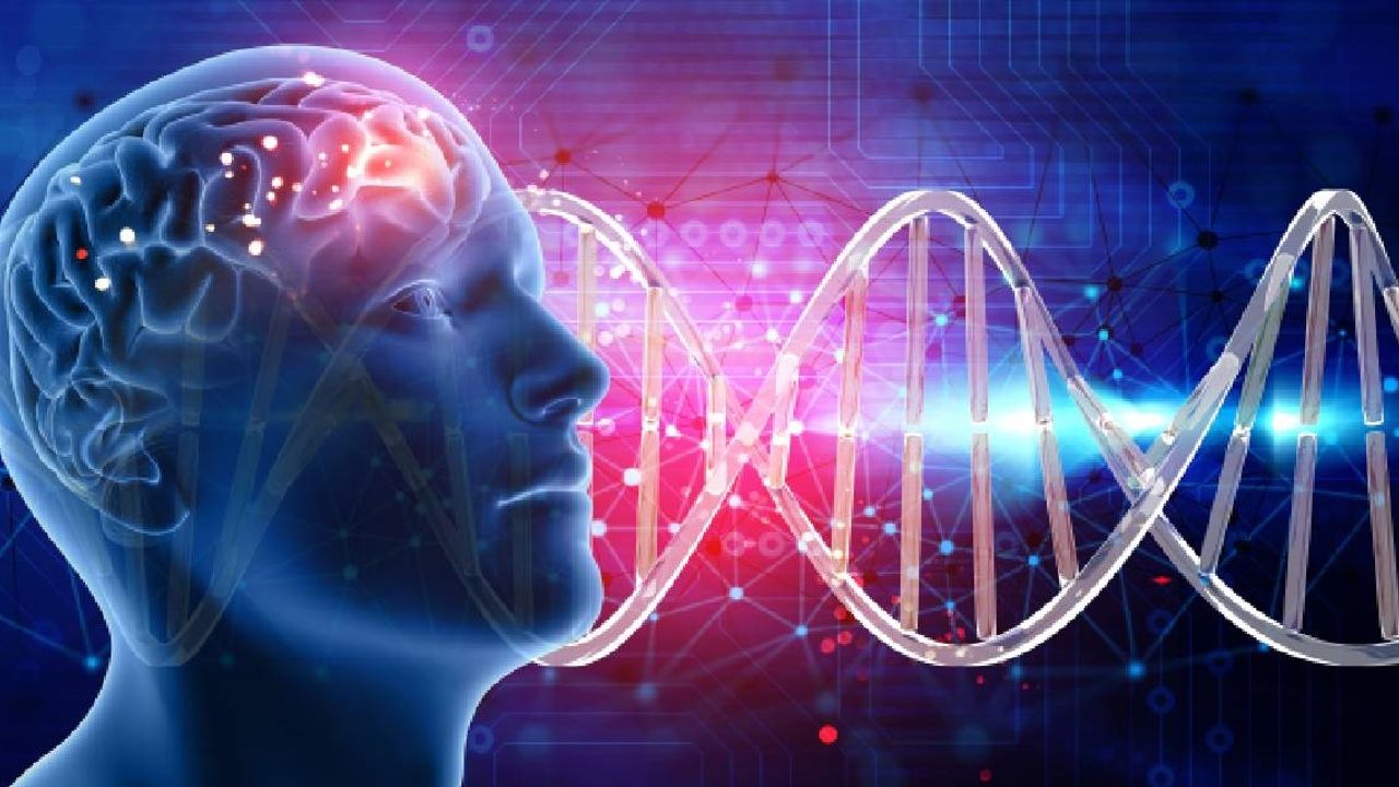 İnsan beyni dokusuyla "Biyobilgisayar" geliştirildi