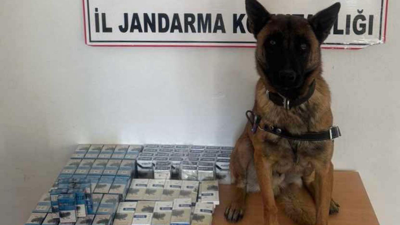 Jandarma Van'daki kaçakçılığa el attı: 76 kişi yakalandı!