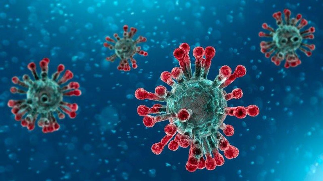 Çin’de deney: Yeni koronavirüs türü yüzde 100 ölümcül