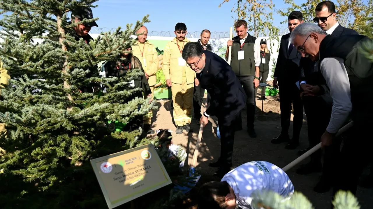 11 Kasım Milli Ağaçlandırma Günü'nde 'çifte rekor' kırıldı - Şehrivan | Van Haber | Van Haberleri | Son Dakika Güncel Haberler