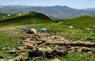 Van’daki yayla ve meralar dışarıdan kiralamaya kapatıldı!