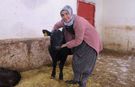 Van’da devlet desteğiyle besiciliğe başlayan kadın çiftçi 5 ayda hayvan sayısını ikiye katladı