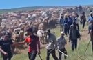 Arazi tartışması silahlı kavgaya dönüştü: Yaralılar var!
