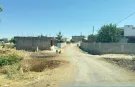 Kedinin ısırdığı 4 yaşındaki çocuk hayatını kaybetti!