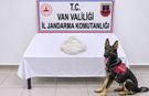 Van yolcu otobüsünde uyuşturucu yakalandı: 1 kişi tutuklandı!