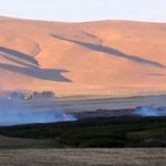 Van’da birçok kuş türüne ev sahipliği yapan sazlıkta korkutan yangın!