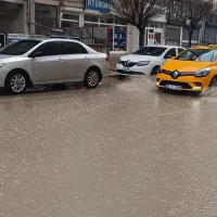 VAN