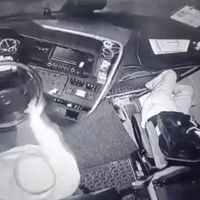VAN
