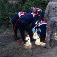 ASAYİŞ