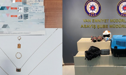 Van'da hırsızlık suçundan araması olan 23 şahıs tutuklandı!