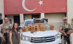 Çatak’ta kafes avcılığı yapan 1 kişi jandarmaya takıldı