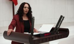 HDP Van Milletvekili Orhan’dan Bakan Nebati ve Dönmez’e soru: Akaryakıt zamlarının gerekçeleri nelerdir?