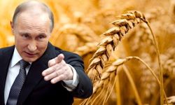 Putin'den dikkat çeken "gıda krizi" açıklaması: Fiyatlar çok daha artacak, bunun sorumlusu ABD ve ...
