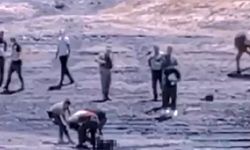 Van'da göl kenarında erkek cesedi bulundu!