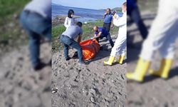 Van Gölü'nde vahşet! Çürümüş erkek cesedi bulundu!