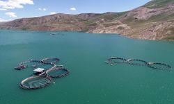 Van’da barajların su seviyesi artıyor ama…