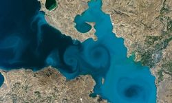 Van Gölü için koruma ve kontrollü kullanım alanı kararı çıktı!