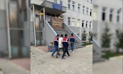 Van'da töre cinayetinden 19 yıl hapis cezası bulunan şahsı yakalandı!