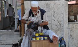 Van’daki yaşlı nüfus emekli olması gereken yaşta ağır işlerde çalışıyor!