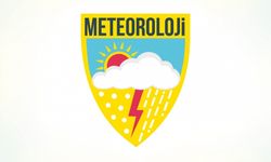 Meteoroloji Genel Müdürlüğü Van'da personel alımı yapacak! İşte başvuru şartları ve tarihi