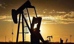Türkiye'de 2 ilde petrol araması yapılacak! İşte petrol araması yapılacak iller