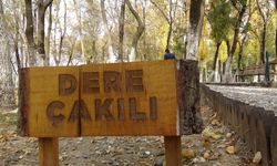 Van'daki bu yol hastalara şifa veriyor!