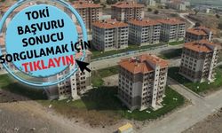 Van Erciş, Edremit, Gevaş, Özalp, Muradiye, Çaldıran sonuçları açıklandı! İşte TOKİ isim sonuç sorgulama ekranı