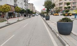 Van’da bu kez de İki Nisan Caddesi saksıyla dolduruldu!