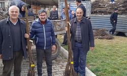 Bahçesaray’daki çiftçilere 30 bin fidan dağıtıldı!