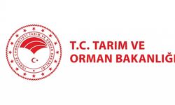Tarım ve Orman Bakanlığına Van'da personel alımı yapılacak! İşte başvuru şartları ve tarihi