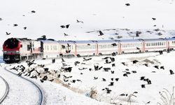 Van, bu treni kaçırmamalı! Van Gölü Ekspresi Van’a da gelmeli(!)