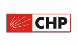 Van'da CHP’li siyasetçiden gazeteciye çirkin saldırı!
