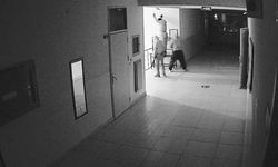 Van'daki resmi kurumlara zarar verip 40 musluk çalan 4 hırsız tutuklandı!