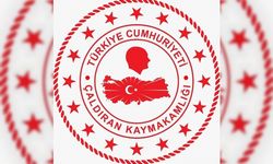 Van Çaldıran Kaymakamlığı personel alımı yapacak! İşte başvuru şartları ve tarihi