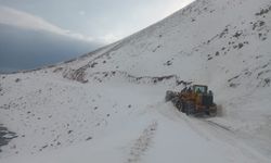 Muradiye’de yola düşen çığ temizlendi!