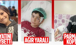 Türkiye'de 3 günde 3 ayrı köpek saldırısı! Köpek saldırısı vakalarına bir yenisi daha eklendi!