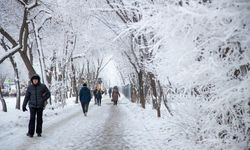 Van Valiliğinden Van’ın kuzey ve güney ilçeleri için flaş uyarı! Tedbirli olun