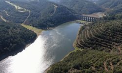 Yağışların ardından barajların doluluk oranı arttı!