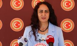 HDP’li Orhan, “2 Nisan Otizm Farkındalık Günü” dolayısıyla meclise önerge verdi