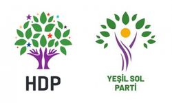 Yeşil Sol Parti Van Milletvekili adayları kimler? İşte aday listesi