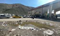 Van'ın Ortadoğu'ya açılan sınır kapısı 'Kapıköy' yine pislik içinde!